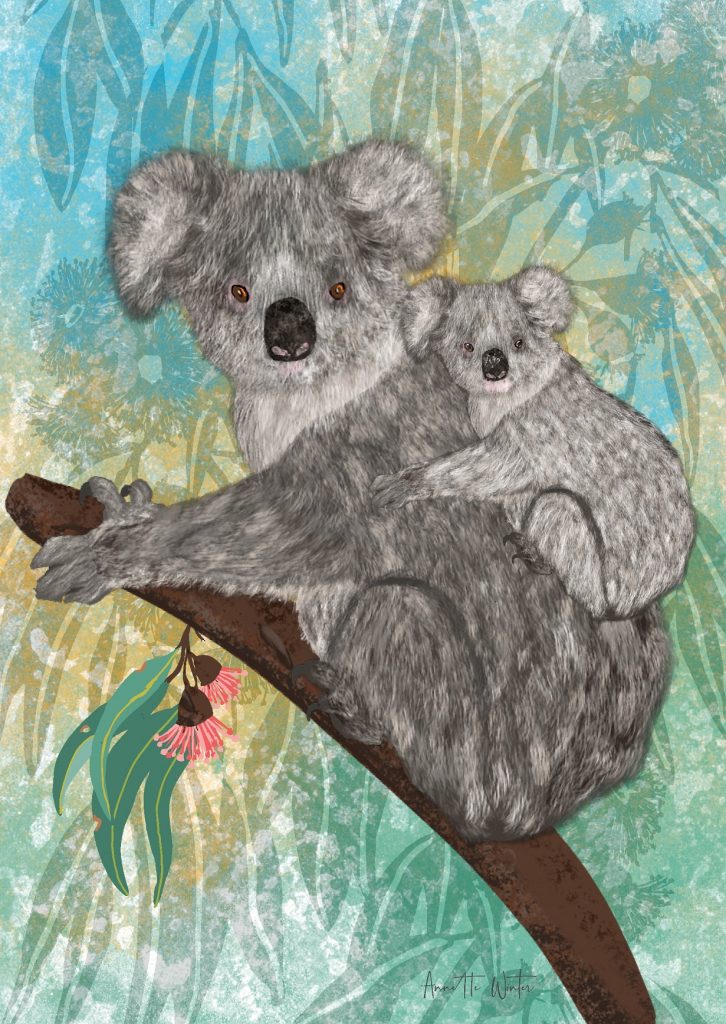 Koalas - Annette Winter