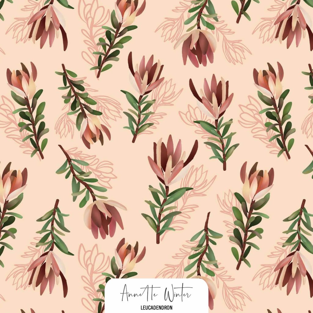 Leukadendron Pattern Print available for license